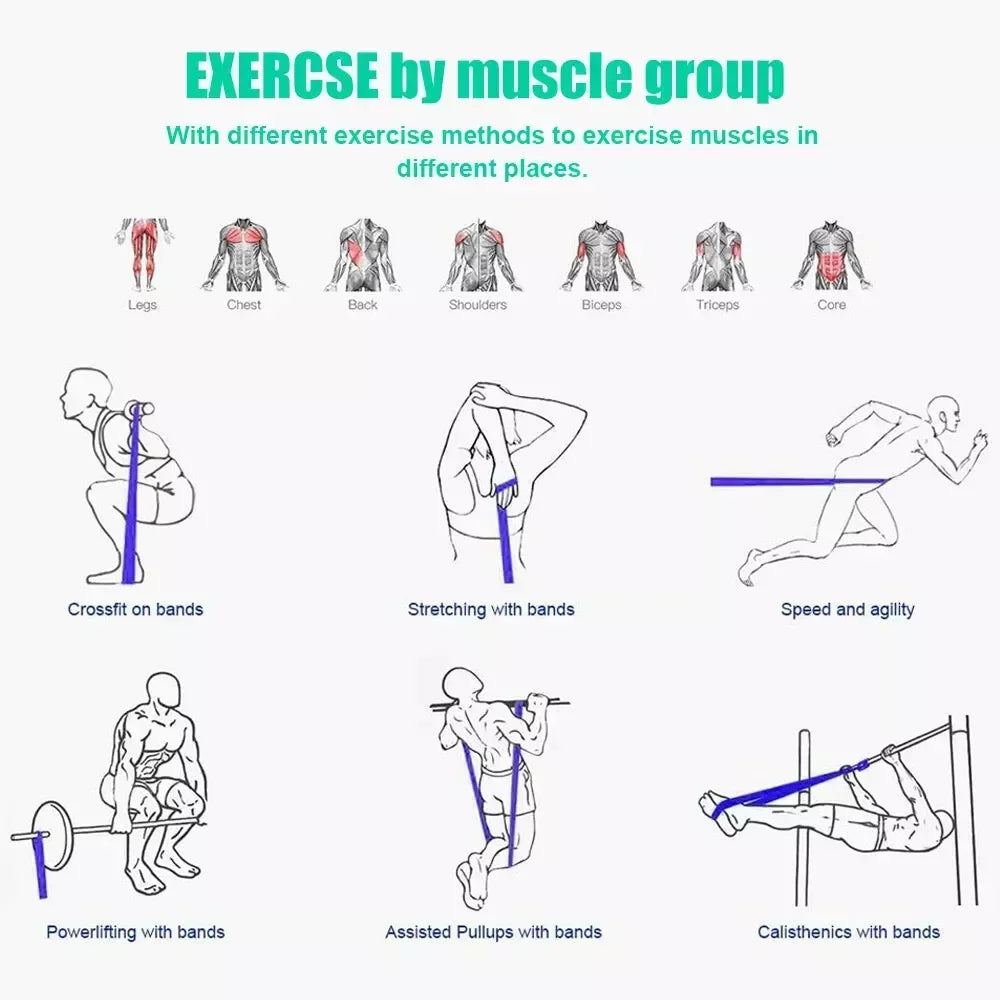5–125LB TPE Resistance Bands